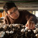 김정호 농장 이미지