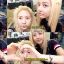 마이비 이미지