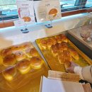 하레하레 이미지