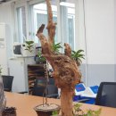 해남군장애인종합복지관 이미지