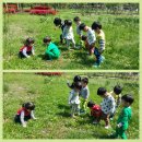 달미공원 이미지