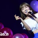 퍼펙트뷰티