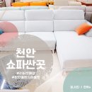 천안 아산 리퍼브매장 추천, 천안 올랜드 아울렛 쇼파 싼곳