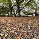 어울려놀다 이미지