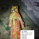 물건낚시