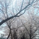동천상사