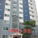 벽산3차아파트 | 서울 관악구 봉천동 벽산블루밍3차 아파트 화장실 실리콘보수작업 후기