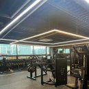 지니월드짐 이미지