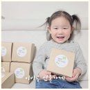 도도 | 어린이 간식선물 추천 비비콩 선물가게 도도세트 후기