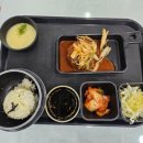 일양약품(주)강원지점 | 명예강원도민의 평창맛집 6곳 추천기 : 샤브샤브, 버거, 한식, 국밥까지..✨