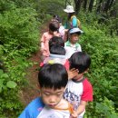 동구초등학교 이미지