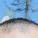 카페능마을
