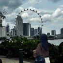파리바게뜨수완임방울점 | to SINGAPORE 🌃 ㅣ 2025.02.20~2025.02.22 (for IM)