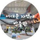 명진교통(주) | [서대문] 아이와 함께 가기 좋은 서대문자연사박물관 (입장료, 주차, 북파크 포함)
