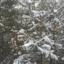 모둘자리 이미지