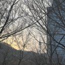 도성 | 서울 한양도성길 후기3 - 3코스. 흥인지문구간 ~ 4코스. 남산구간