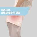 척추가 중심 이미지