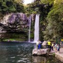 천지연폭포 이미지