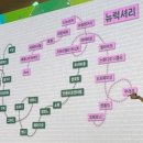 헬스뷰티트랜드