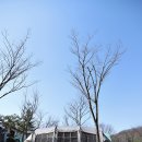 (주)디오 | 캠핑 텐트 추천 카즈미 그란디오 하우스 4~5인용 거실형텐트 후기