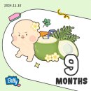 B15-1 | B15. [임신기록 32-33주차] 철분수치 9, 철분약 처방, 정기검진, 출산선물