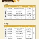 작은나무숲 | 2025 고령 다산 은행나무숲 축제 후기 | 아이와 함께 다녀온 가을나들이 코스 추천