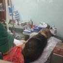 인제종합동물병원 이미지