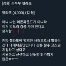 젤라또판다