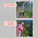 늘푸른케어