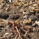 아루농장 이미지