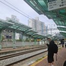 사북중앙로 | 강원도 정선 강원랜드 호텔 카지노 방문기와 사북 중식 맛집 &#39;만리장성&#39; 시식후기..
