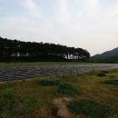 하서원 민박 이미지