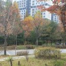 옥길버들초등학교5 이미지