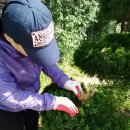 학장중학교 이미지