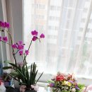 하안2동 주민센터 이미지