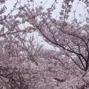 다시,봄 이미지