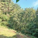 삼산면-3 이미지