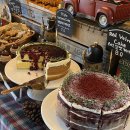 메리클리프 이미지