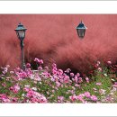 물만난 물고기 이미지