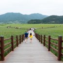 남도삼백리길(7코스) 이미지