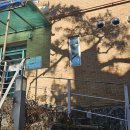 소나무집 이미지