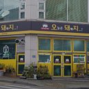 오늘은돼패지...!
