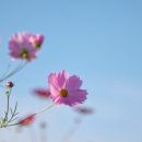 늘행복정신건강의학과의원 이미지