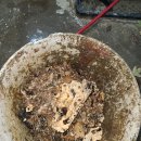 산호동135 이미지