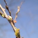 참새골약수터 이미지