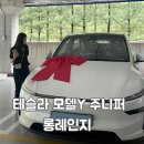 이케아 앞 횡단보도(2) | [테슬라 모델Y 주니퍼 롱레인지] 광명 이케아 직접출고, 준비물, 대전 보조금 현황