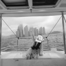 배정형외과내과의원 이미지