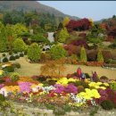 10월펜션 이미지