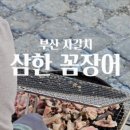 삼한꼼장어 이미지