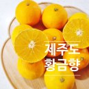 맛있는형제들 이미지